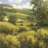 David Dipnall